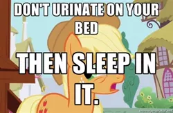 Size: 400x260 | Tagged: applejack, bronyetiquette, derpibooru import, forced meme, i hope no one thinks this is serious, meta, safe, text, this is starting to get stupid