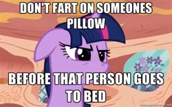 Size: 400x250 | Tagged: bronyetiquette, caption, derpibooru import, edit, edited screencap, forced meme, image macro, meta, safe, screencap, text, twilight sparkle