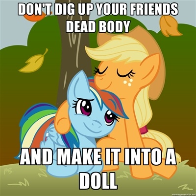 Size: 400x401 | Tagged: safe, derpibooru import, applejack, rainbow dash, appledash, bronyetiquette, female, forced meme, lesbian, meta, shipping, text