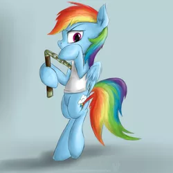 Size: 2500x2500 | Tagged: safe, artist:rule1of1coldfire, derpibooru import, rainbow dash, pegasus, pony, bipedal, clothes, female, high res, mare, nunchucks, shirt, signature, simple background, solo, tanktop