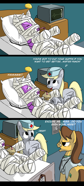 Size: 1594x3515 | Tagged: safe, artist:fiddlearts, derpibooru import, bandage pony, derpy hooves, doctor horse, doctor stable, hard knocks, pegasus, pony, unicorn, bandy, comic, dialogue, female, male, mare, muffin, nurse, rough tumble, stallion