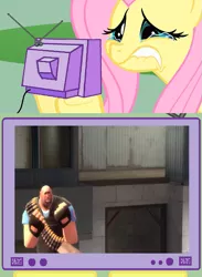 Size: 563x771 | Tagged: safe, derpibooru import, fluttershy, pony, exploitable meme, heavy, kiss me, meme, scout, team fortress 2, tv meme