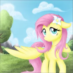 Size: 649x649 | Tagged: artist:skyheavens, derpibooru import, fluttershy, safe, solo