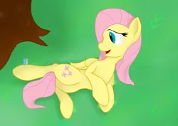 Size: 4092x2893 | Tagged: safe, artist:sidhenearlahi, derpibooru import, fluttershy, butterfly