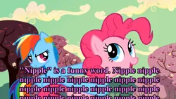 Size: 1264x711 | Tagged: bronyetiquette, derpibooru import, funny words, parody, pinkie pie, rainbow dash, safe