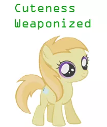Size: 299x356 | Tagged: caption, cute, derpibooru import, filly, image macro, noi, safe, weapons-grade cute