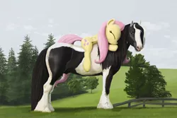 Size: 1200x800 | Tagged: safe, artist:lostdragon01, derpibooru import, fluttershy, oc, gypsy vanner, horse, pegasus, pony, canon x oc, female, fence, horse-pony interaction, hug, mare, pinto, ponies riding horses, ponies riding ponies, tree