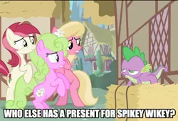 Size: 880x601 | Tagged: safe, derpibooru import, screencap, daisy, flower wishes, lily, lily valley, roseluck, spike, dragon, earth pony, pony, the cutie pox, caption, daisyspike, faic, female, flower, flower in hair, flower trio, hay bale, image macro, lily (flower), lilyspike, male, shipping, spikeluck, spikey wikey, straight