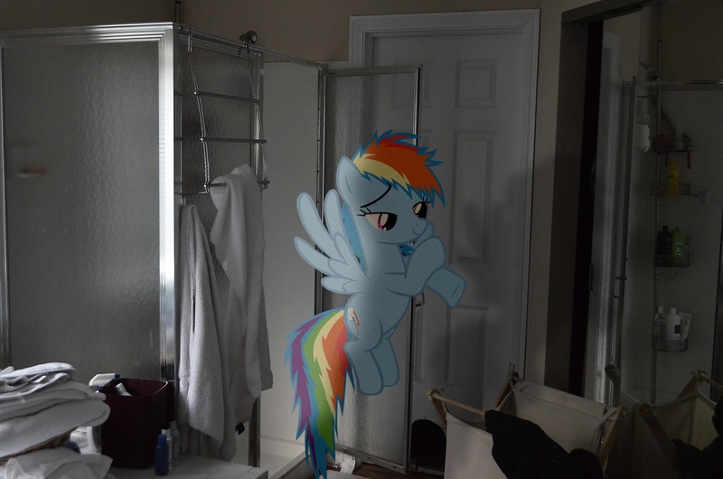 Size: 2464x1632 | Tagged: safe, artist:oppositebros, derpibooru import, rainbow dash, pony, bathroom, irl, photo, ponies in real life, shadow, shower, vector