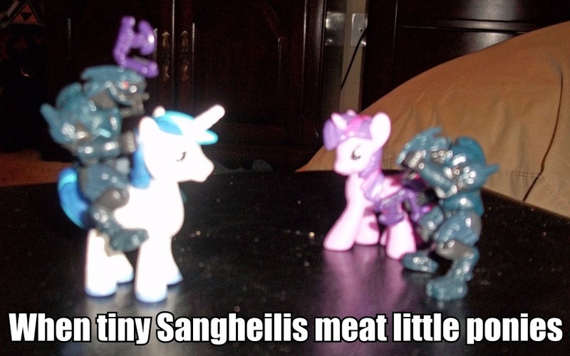 Size: 877x548 | Tagged: blind bag, derpibooru import, halo (series), irl, meat, photo, safe, sangheili, shining armor, toy, twilight sparkle