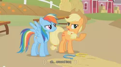 Size: 640x355 | Tagged: safe, derpibooru import, edit, edited screencap, screencap, applejack, rainbow dash, earth pony, pegasus, pony, fall weather friends, caption, female, horseshoes, iraq, mare, youtube caption