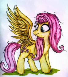 Size: 1458x1655 | Tagged: safe, artist:tomek2289, derpibooru import, fluttershy, pegasus, pony, female, looking at self, looking at something, mare, messy mane, solo, spread wings, standing, traditional art, wings