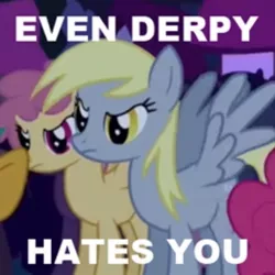 Size: 420x420 | Tagged: safe, derpibooru import, derpy hooves, dizzy twister, orange swirl, pinkie pie, snails, pegasus, pony, boast busters, angry, female, image macro, mare, solo focus, underp, upset, white text