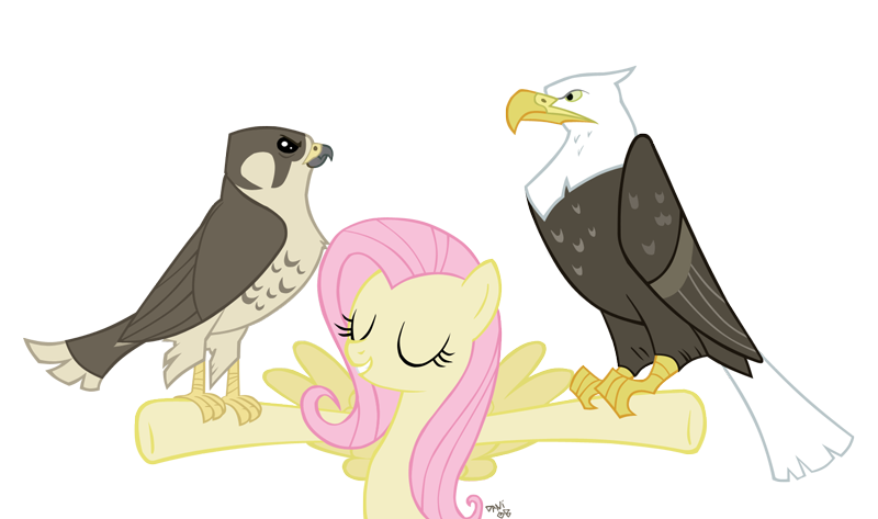 Size: 800x473 | Tagged: safe, artist:kittenshy, derpibooru import, fluttershy, bald eagle, bird, eagle, falcon, pegasus, pony, may the best pet win, animal, peregrine falcon, simple background, transparent background, vector