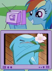 Size: 564x770 | Tagged: safe, derpibooru import, rainbow dash, pony, wobbuffet, exploitable meme, meme, pokémon, tv meme