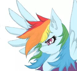 Size: 600x555 | Tagged: safe, artist:myuse, derpibooru import, rainbow dash, pegasus, pony, bust, colored pupils, ear fluff, female, mare, messy mane, profile, simple background, solo, spread wings, white background, wings