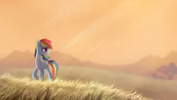 Size: 1920x1080 | Tagged: artist:ruhje, crepuscular rays, derpibooru import, field, rainbow dash, safe, scenery, solo