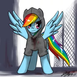 Size: 900x900 | Tagged: artist:johnjoseco, blood, clothes, derpibooru import, hoodie, hunter, left 4 dead, rainbow dash, safe, smiling, smirk, solo, spread wings, wings
