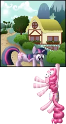 Size: 800x1492 | Tagged: artist:cgeta, breaking the fourth wall, derpibooru import, fourth wall, panel, pinkie pie, safe, twilight sparkle
