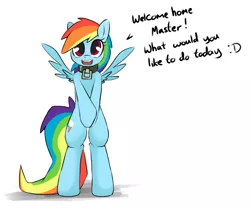 Size: 1012x840 | Tagged: artist:grumblepluck, bipedal, collar, cute, :d, dead source, derpibooru import, dialogue, female, femsub, happy, looking at you, master, open mouth, pegasus, pet, pet-dash, pet-dash tumblr, rainbow dash, safe, semi-anthro, smiling, speech, spread wings, standing, submissive