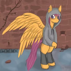 Size: 900x900 | Tagged: safe, artist:pantzar, derpibooru import, scootaloo, pony, bipedal, clothes, hoodie, older