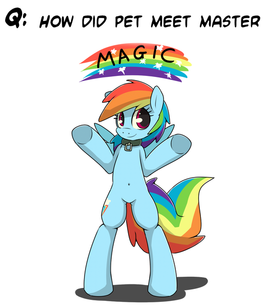 Size: 1148x1318 | Tagged: dead source, safe, artist:grumblepluck, derpibooru import, rainbow dash, pegasus, pony, belly button, bipedal, collar, cute, female, mare, master, pet, pet-dash, pet-dash tumblr, rainbow, solo