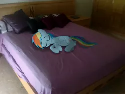 Size: 2605x1954 | Tagged: safe, artist:asideilogica, derpibooru import, rainbow dash, pony, bed, irl, photo, ponies in real life, sleeping, vector