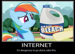 Size: 680x491 | Tagged: bleach, brain bleach, demotivational poster, derpibooru import, edit, fluttershy, it's dangerous to go alone, may the best pet win, meme, motivational poster, rainbow dash, safe, screencap, the legend of zelda