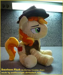 Size: 810x953 | Tagged: artist:wolflessnight, braeburn, clothes, derpibooru import, hat, irl, photo, plushie, safe, solo, vest