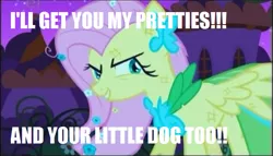 Size: 633x361 | Tagged: clothes, derpibooru import, dress, edit, edited screencap, evil grin, fluttershy, gala dress, grin, image macro, safe, scratches, screencap, smiling, solo, the best night ever, the wizard of oz, wicked witch