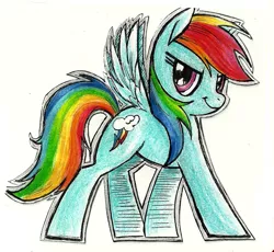 Size: 699x642 | Tagged: safe, artist:obligatorilyoptional, derpibooru import, rainbow dash, pegasus, pony, female, looking at you, mare, outline, simple background, smiling, solo, traditional art, white background