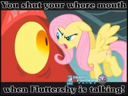 Size: 800x600 | Tagged: artist:vengeancemanifesto, caption, derpibooru import, fluttershy, image macro, safe, the stare, vulgar