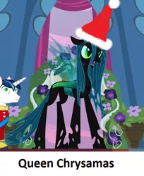 Size: 540x662 | Tagged: calibri, derpibooru import, hat, pun, queen chrysalis, safe, santa hat, shining armor