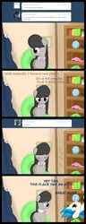 Size: 941x2451 | Tagged: safe, artist:erthilo, derpibooru import, octavia melody, vinyl scratch, earth pony, pony, unicorn, ask octavia, ask, christmas arc, comic, duo, duo female, female, mare, snow globe, tumblr