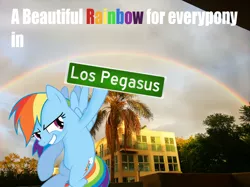 Size: 1123x842 | Tagged: safe, derpibooru import, rainbow dash, pony, irl, los angeles, los pegasus, photo, ponies in real life, rainbow, vector