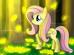 Size: 2000x1500 | Tagged: safe, artist:4shapr, derpibooru import, fluttershy, autumn, leaves