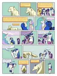 Size: 900x1200 | Tagged: applejack, artist:arofatamahn, comic, comic:the night the magic died, derpibooru import, oc, oc:nahmat, princess celestia, princess luna, rarity, safe, shining armor, twilight sparkle