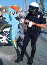 Size: 458x630 | Tagged: safe, derpibooru import, rainbow dash, human, pony, annoyed, crossed hooves, flying, frown, gritted teeth, irl, motorcycle, photo, police, police officer, ponies in real life, speeding ticket, spread wings, traffic stop