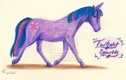 Size: 900x577 | Tagged: derpibooru import, hoers, realistic, safe, twilight sparkle, watermark