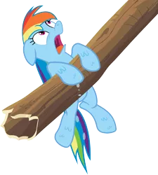 Size: 3597x4000 | Tagged: artist:thorinair, derpibooru import, log, rainbow dash, safe, simple background, solo, the mysterious mare do well, transparent background, vector, wet