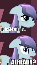 Size: 290x500 | Tagged: comic, cropped, derpibooru import, edit, edited screencap, floppy ears, image macro, rule 34, safe, sapphire joy, screencap, screencap comic, solo, the crystal empire