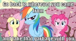 Size: 500x269 | Tagged: safe, derpibooru import, edit, edited screencap, screencap, fluttershy, pinkie pie, rainbow dash, pegasus, pony, the last roundup, caption, cherry orchard, cherry tree, female, image macro, mare, meme, reaction image, tree, trio