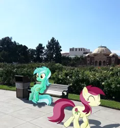Size: 1231x1309 | Tagged: safe, derpibooru import, lyra heartstrings, roseluck, pony, exposition park, flower, irl, los angeles, meme, museum, photo, ponies in real life, rose, rose garden, sitting, sitting lyra, vector