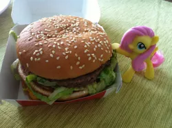 Size: 1280x956 | Tagged: artist:eminencegris, big mac (burger), burger, derpibooru import, fluttershy, hamburger, irl, mcdonald's, photo, pun, safe, toy