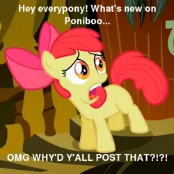 Size: 476x476 | Tagged: abandon thread, apple bloom, derpibooru import, image macro, meme, ponibooru, safe, text, why would you post that