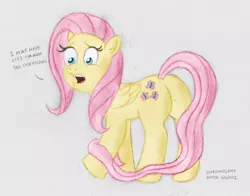 Size: 1150x900 | Tagged: artist:scobionicle99, derpibooru import, dialogue, fluttershy, impossibly long tail, long tail, plot, safe, solo, tail extensions, traditional art