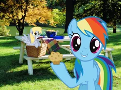 Size: 1024x763 | Tagged: safe, artist:normanb88, derpibooru import, derpy hooves, rainbow dash, pony, irl, muffin, photo, picnic, ponies in real life, table, vector