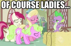 Size: 1603x1054 | Tagged: safe, derpibooru import, edit, edited screencap, screencap, daisy, lily, lily valley, roseluck, spike, dragon, earth pony, pony, caption, female, flower, flower in hair, flower trio, image macro, lily (flower), male, mare, spike gets all the mares