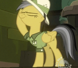 Size: 274x240 | Tagged: animated, cropped, daring do, derpibooru import, hub logo, read it and weep, safe, screencap, solo