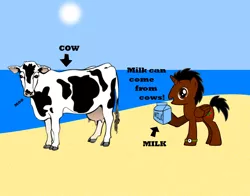 Size: 996x780 | Tagged: beach, cow, derpibooru import, disease not alicorn, milk, oc, oc:bob, safe, udder, unofficial characters only